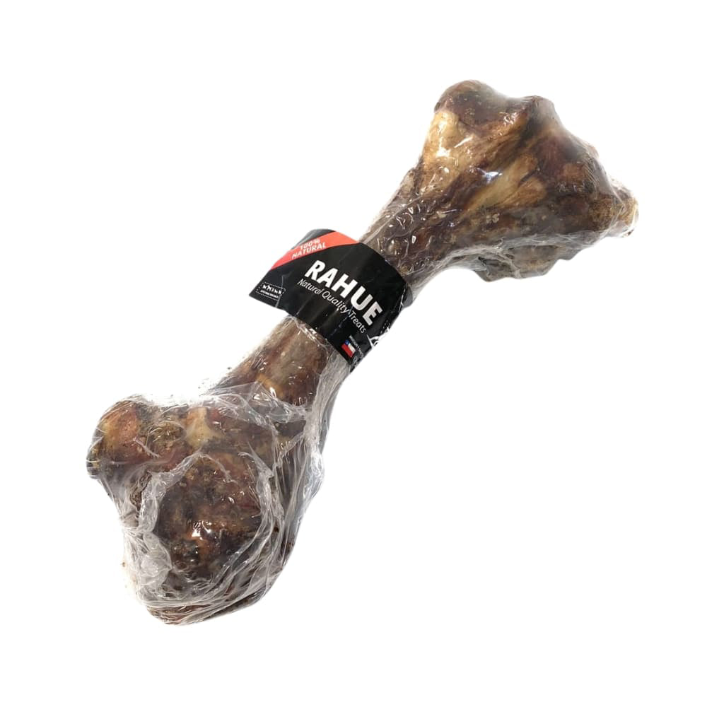 Femur De Vacuno