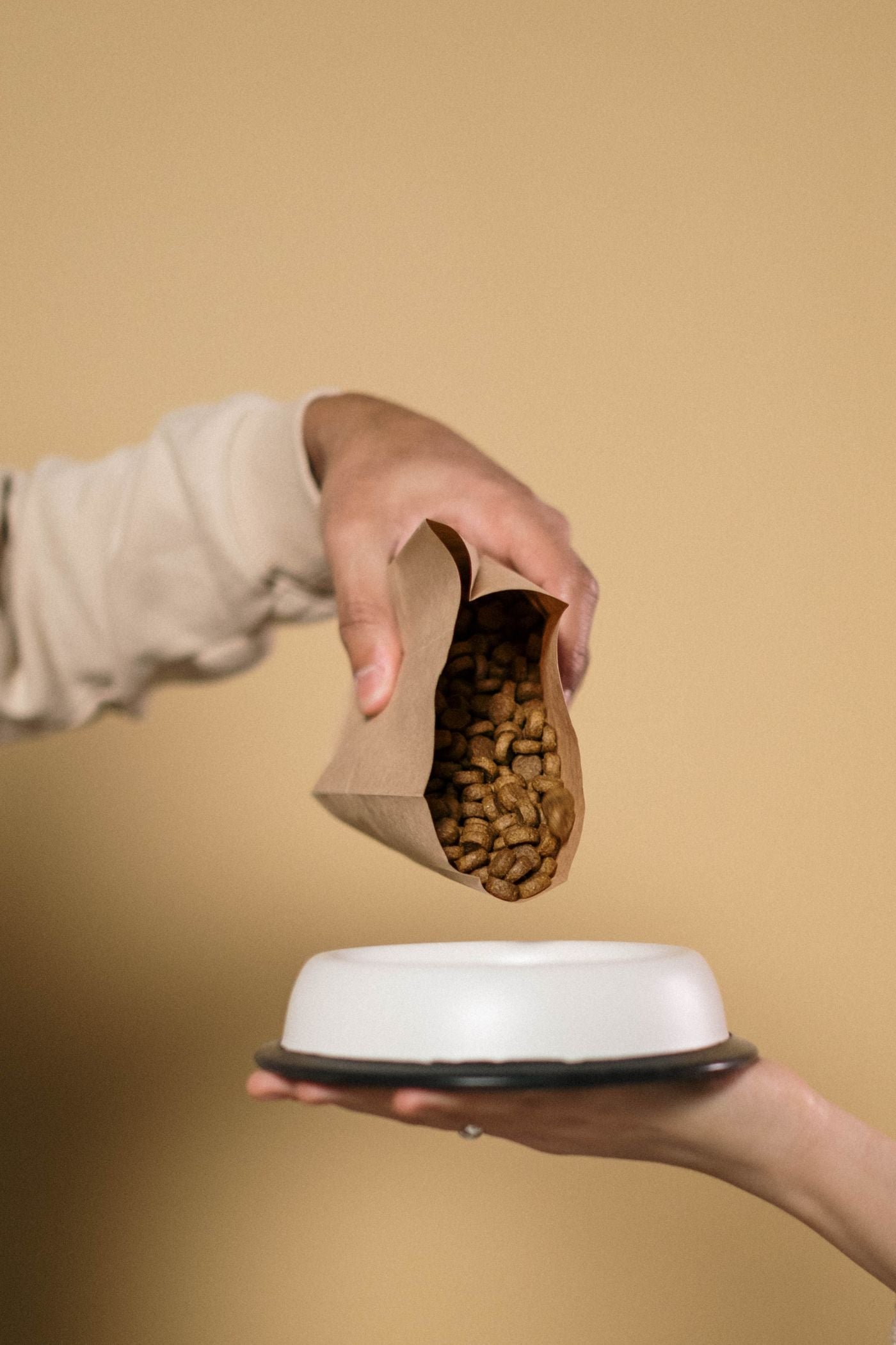 Persona con un envase de alimento en la mano, aprendiendo a leer la etiqueta del alimento para perros