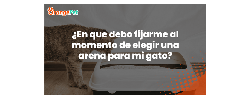 ¿En que debo fijarme al momento de elegir una arena para mi gato