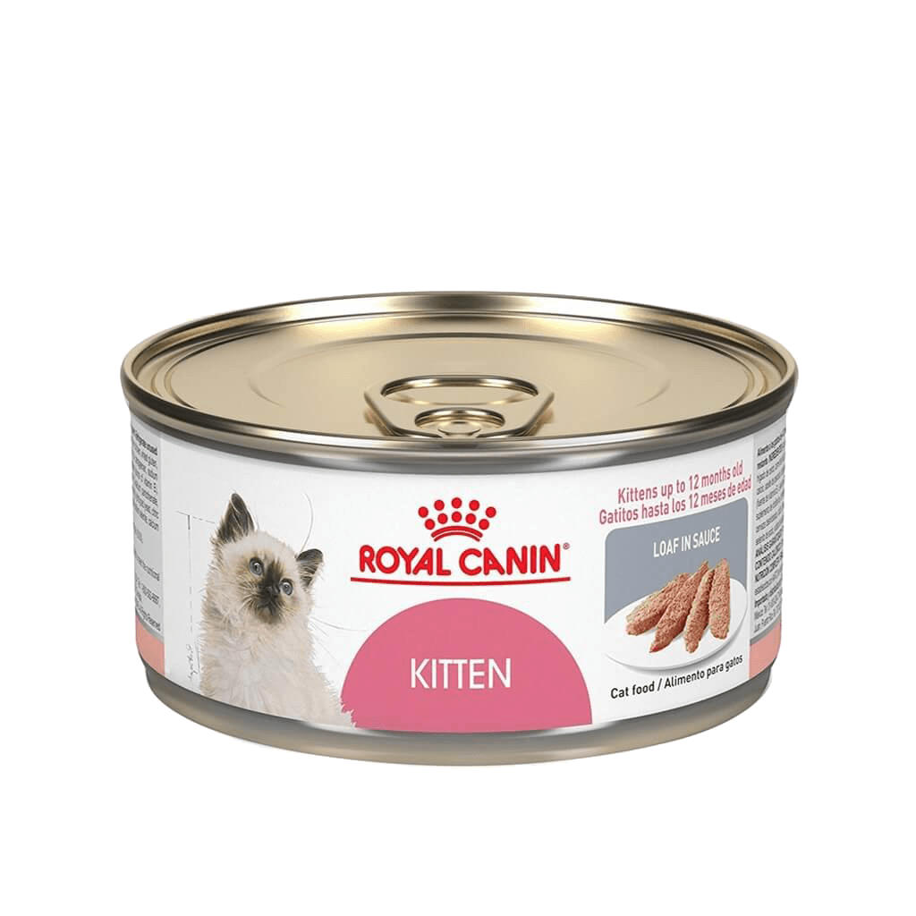 LATA ROYAL CAT KITTEN INSTINCTIVE 145 GR