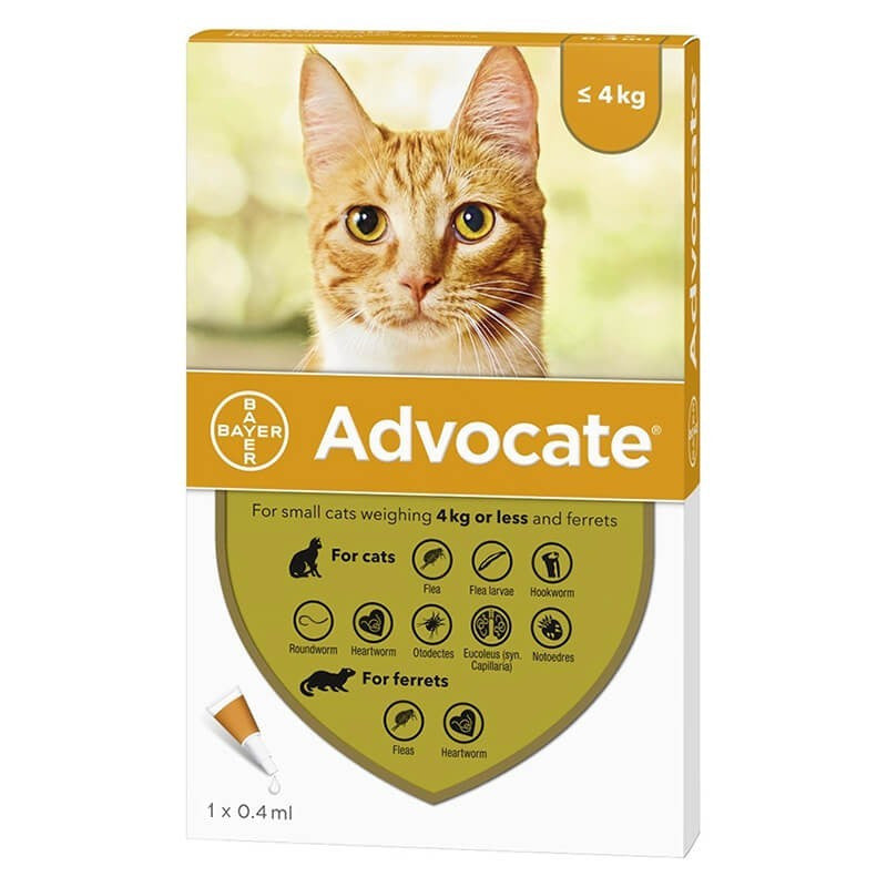 Advocate Gatos 4 Ml