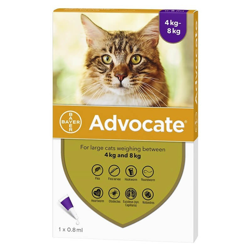 Advocate Gatos 8 Ml