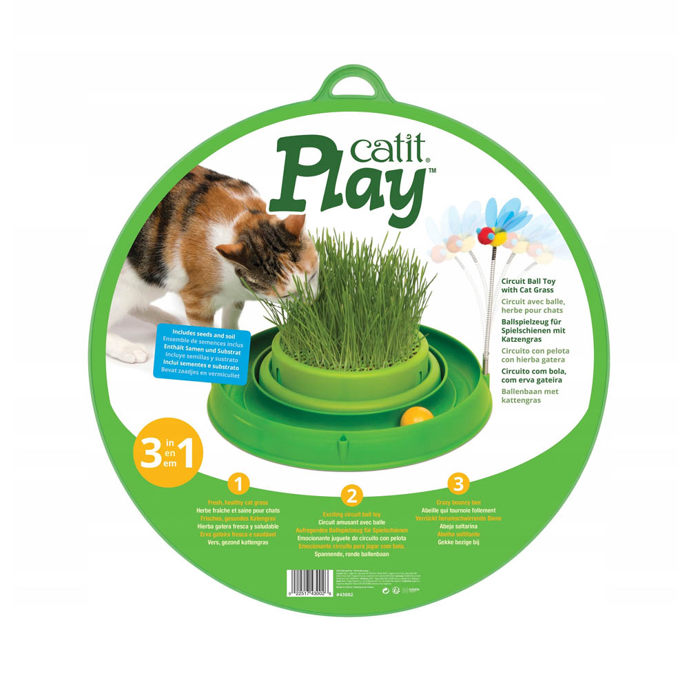 Cat Play Circuito 3 En 1 Con Pasto