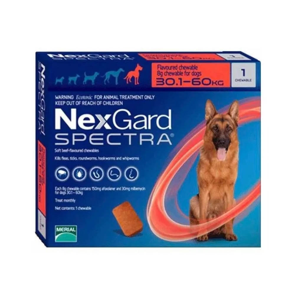 Nexgard Spectra 30-60 Kg 1 Comp