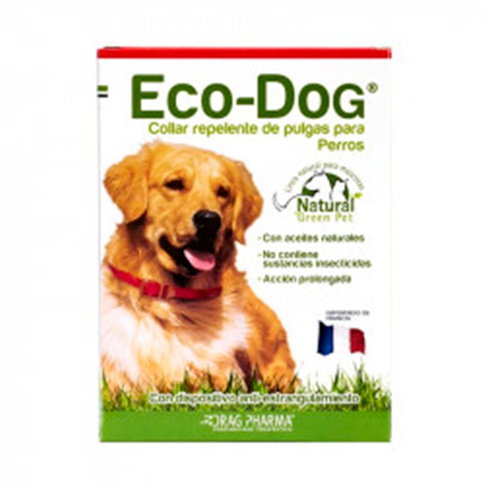 Eco Dog