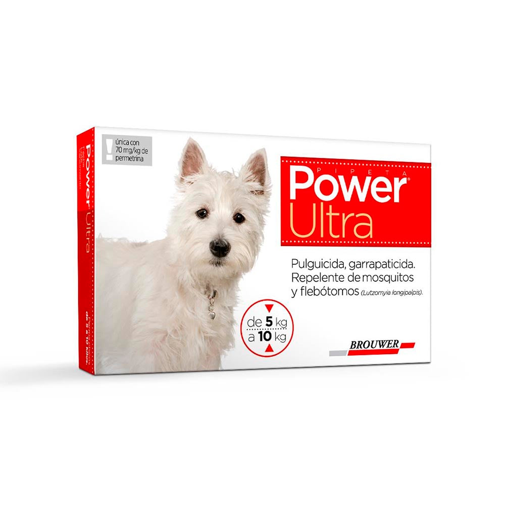 Power Hasta 10 Kg