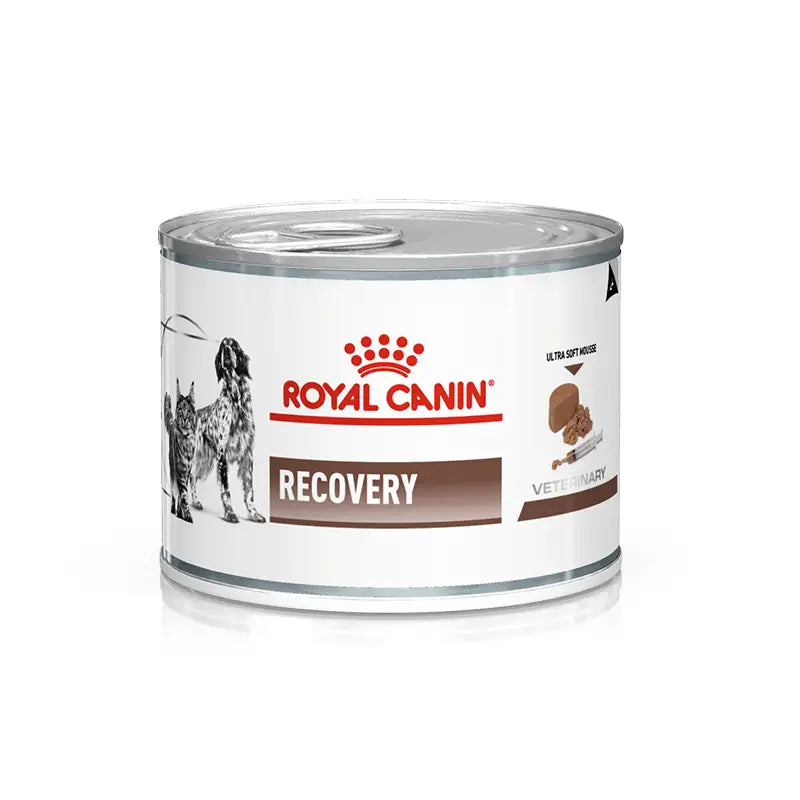 Lata royal canin recovery 145 gr.
