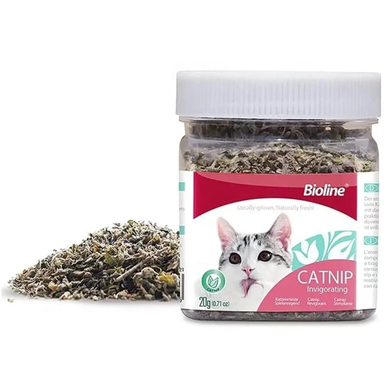 Hojas Catnip 20G