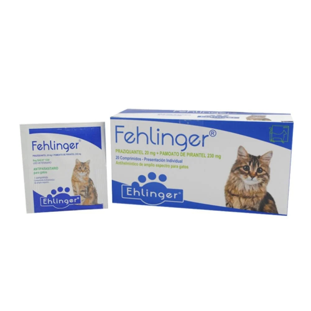 Fehlinger 1 Comp