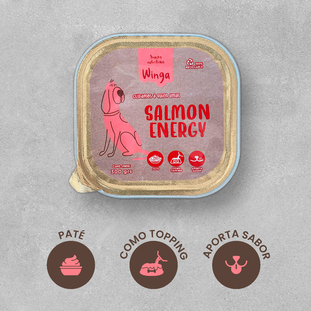 Winga Pate Salmon Energy