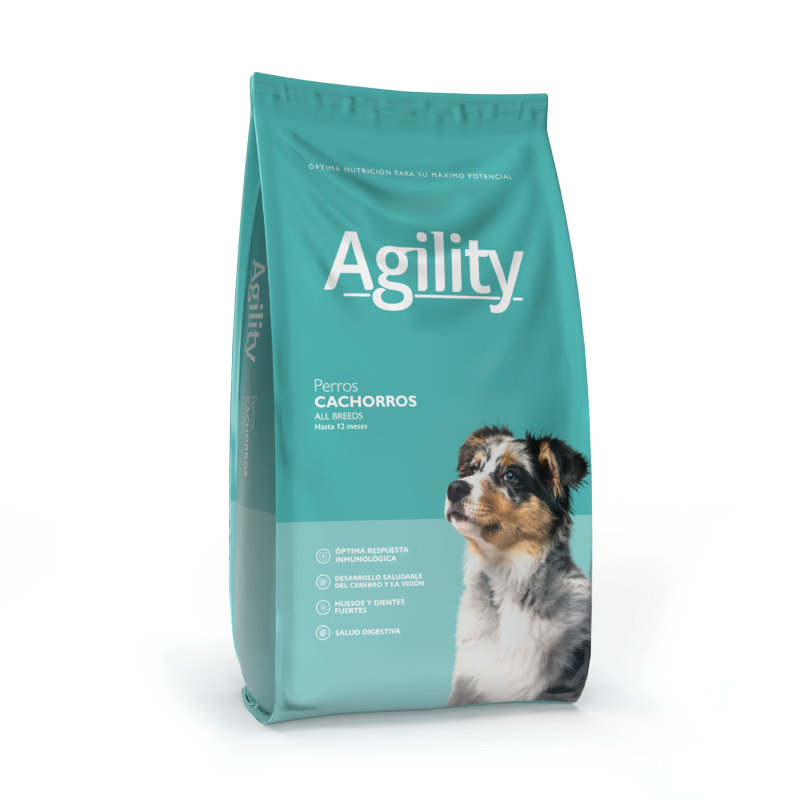 Agility perro cachorro all breed