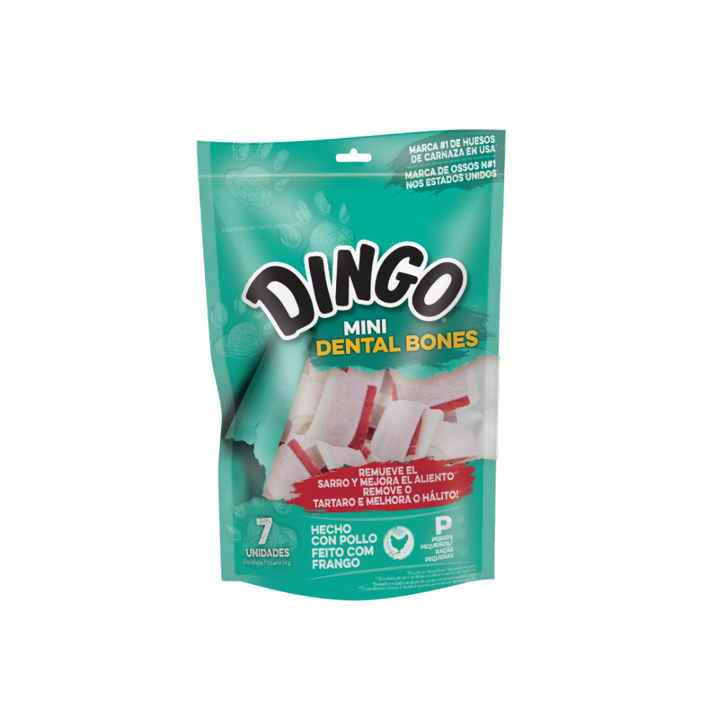 Dingo Dental Mini Bone
