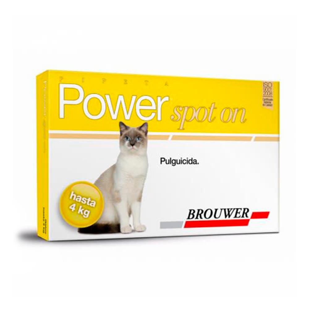 Power Gatos 4Kg