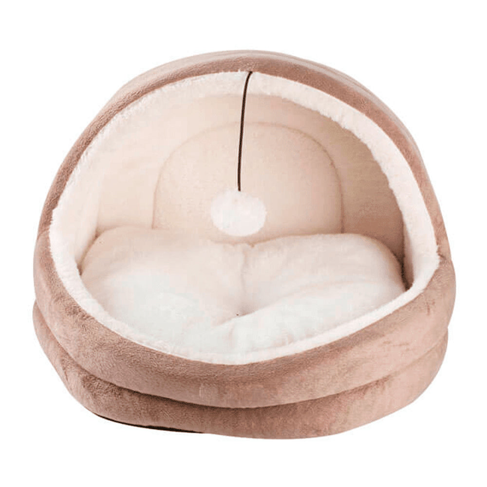 Pawise Cama Gatos Igloo Cafe