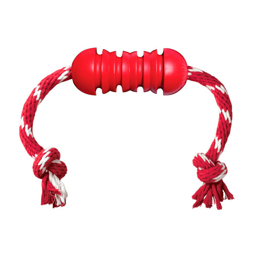 Kong Dental M With Rope