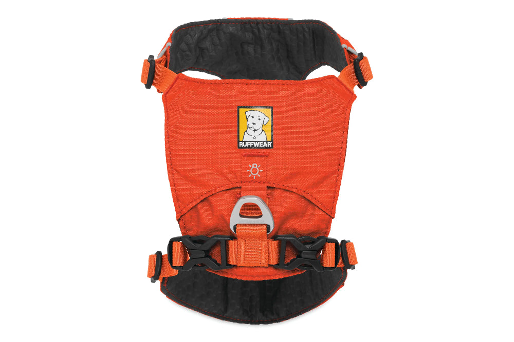 Rw Hi & Light Harness L/Xl Sockeye Red