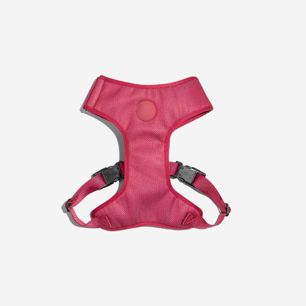 Bordeau Air Mesh Harness Ajust Large
