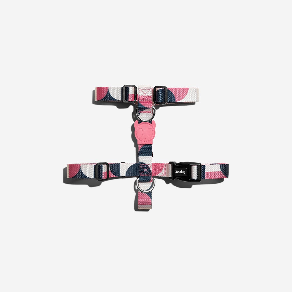 Split H-Harness Large