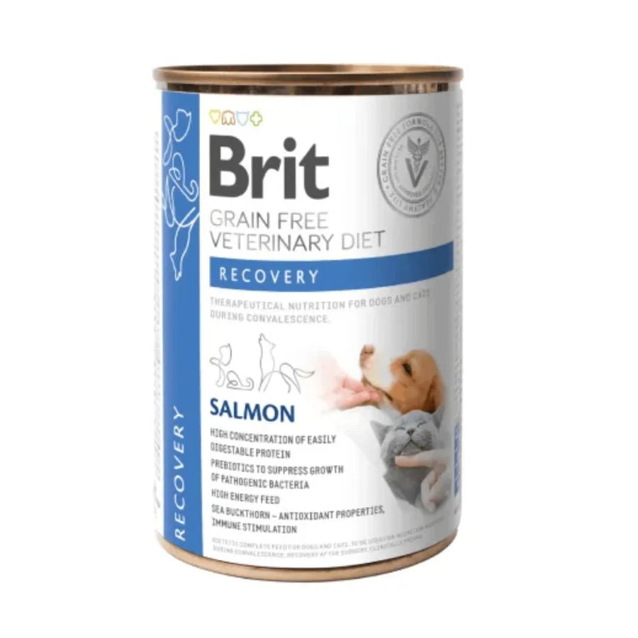 LATA BRIT CARE GF VD RECOVERY 400 GR